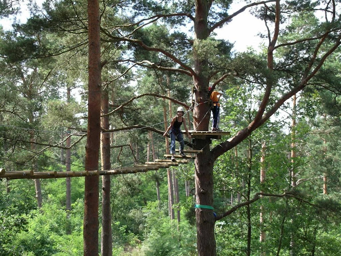 Atout Branches